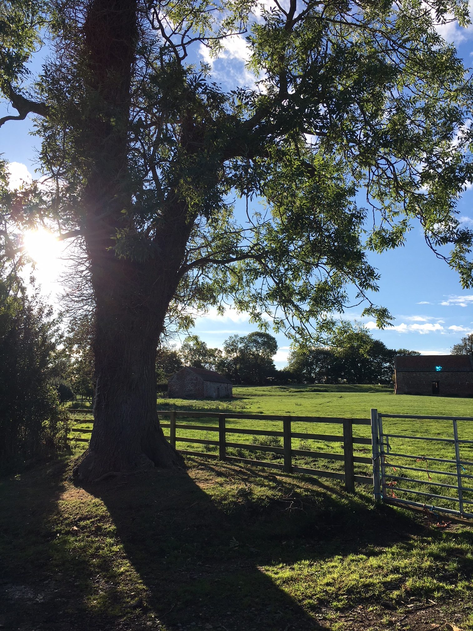 Gallery Eryholme Village and Parish Council